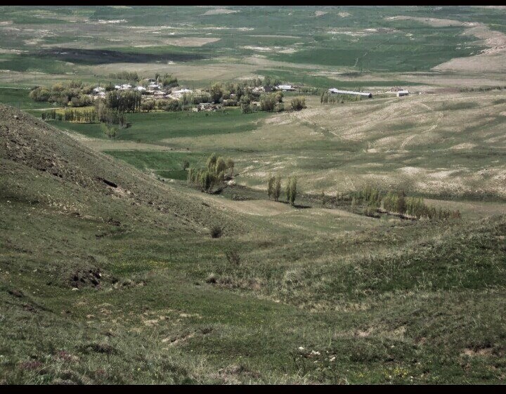 Altınyayla Paşaköy Resimleri 9