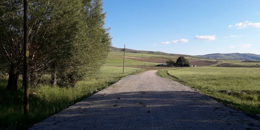 Altınyayla Paşaköy Resimleri