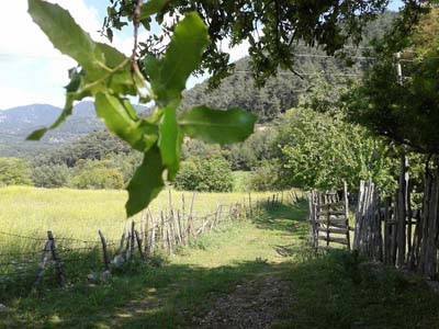 Adana Kozan Akçalıuşağı Köyü Resimleri 11