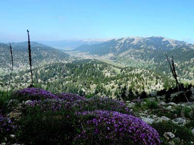 Adana Kozan Akçalıuşağı Köyü Resimleri 2