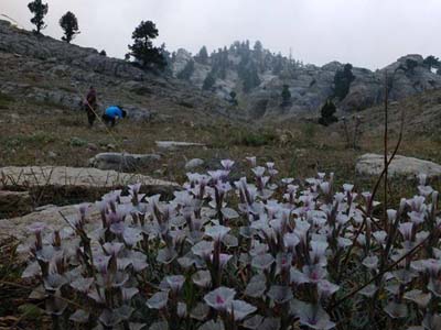 Adana Kozan Akçalıuşağı Köyü Resimleri 3