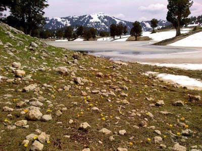 Adana Kozan Akçalıuşağı Köyü Resimleri 5