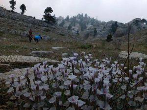 Adana Kozan Akçalıuşağı Köyü Resimleri
