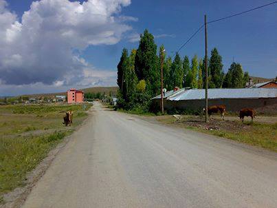 Altınyayla Serinyayla Köyü Resimleri 1