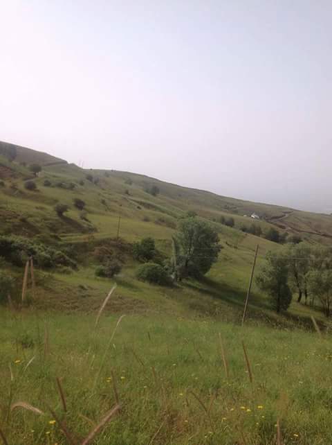 Muş Toprakkale Köyü Resimleri 2