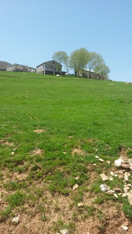 Muş Toprakkale Köyü Resimleri 3