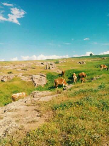 Bulanık Mollakent Beldesi Resimleri 3