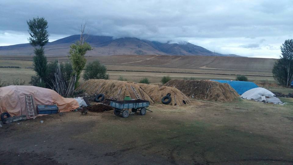 Bulanık Mollakent Beldesi Resimleri 4