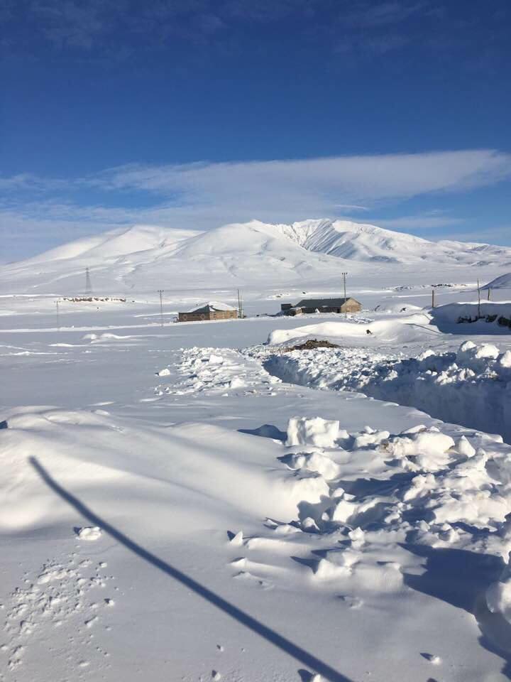 Bulanık Mollakent Beldesi Resimleri 7