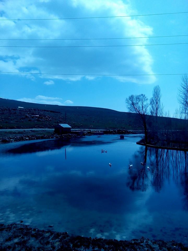 Bulanık Yemişen Beldesi Resimleri 1