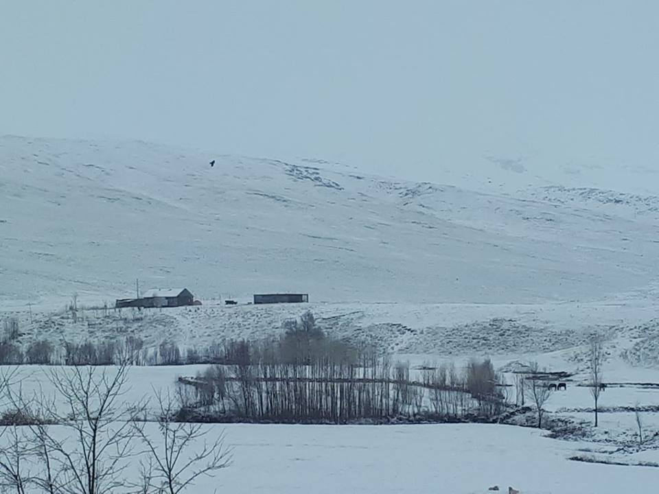 Bulanık Yemişen Beldesi Resimleri 6