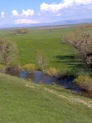 Bulanık Yoncalı Beldesi Resimleri 7