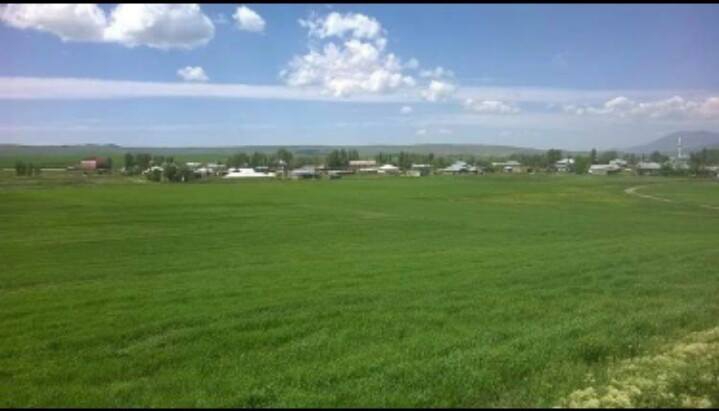 Bulanık Yoncalı Beldesi Resimleri 9