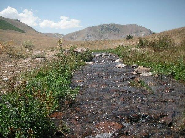 Divriği Bayırüstü Köyü Resimleri 29