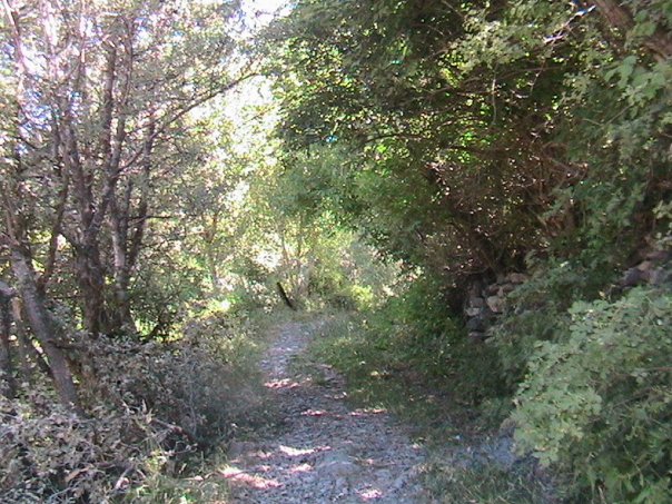 Divriği Bayırüstü Köyü Resimleri 30