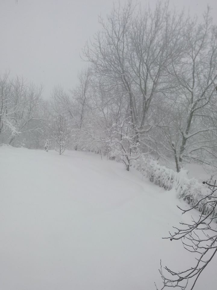 Gölcük Mesruriye Köyü Resimleri 1