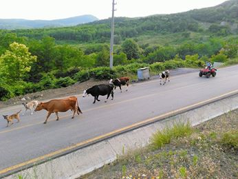 Gölcük Mesruriye Köyü Resimleri 3