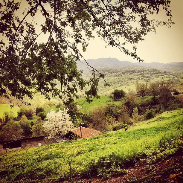 Gölcük Nimetiye Köyü Resimleri 2