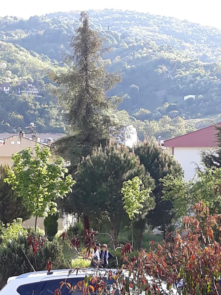 Gölcük Örcün Köyü Resimleri 6