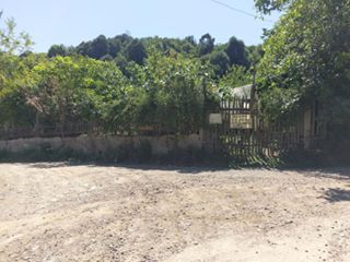 Kocaeli Selimiye Köyü Resimleri 2