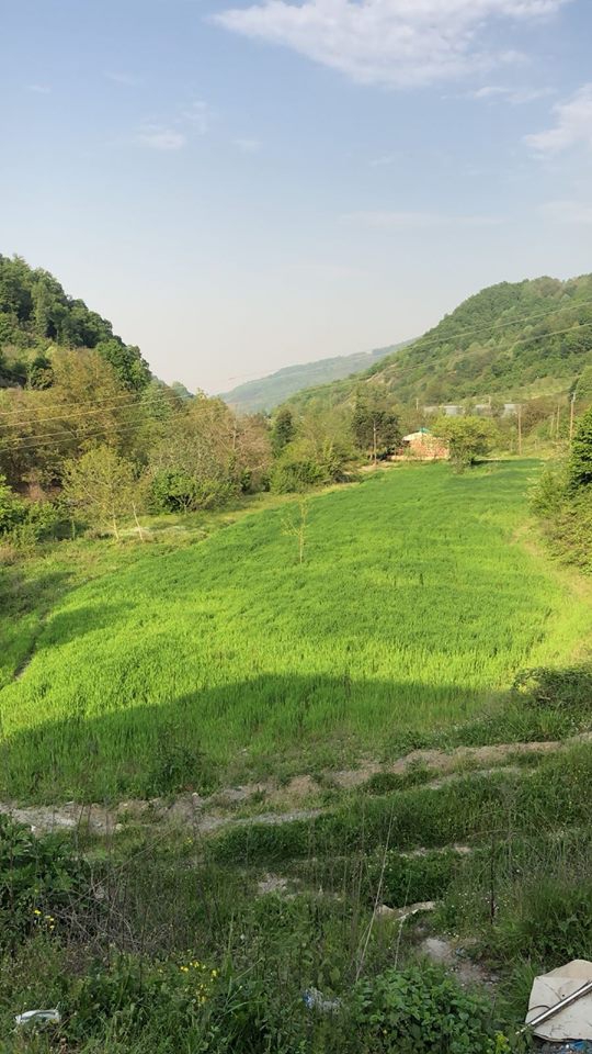 Kocaeli Selimiye Köyü Resimleri 5