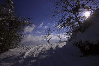Gölcük Şirinköy Köyü Resimleri 3