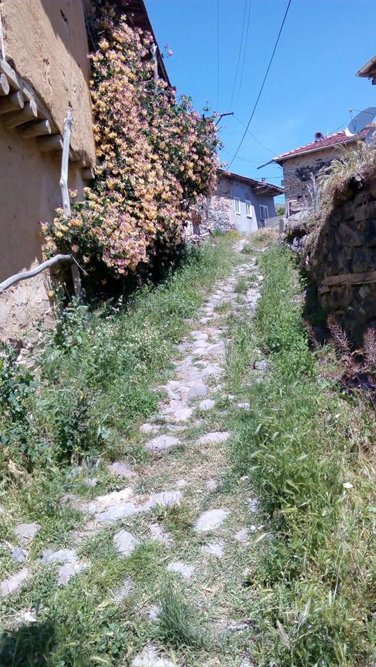 Divriği Beyköy Resimleri 21
