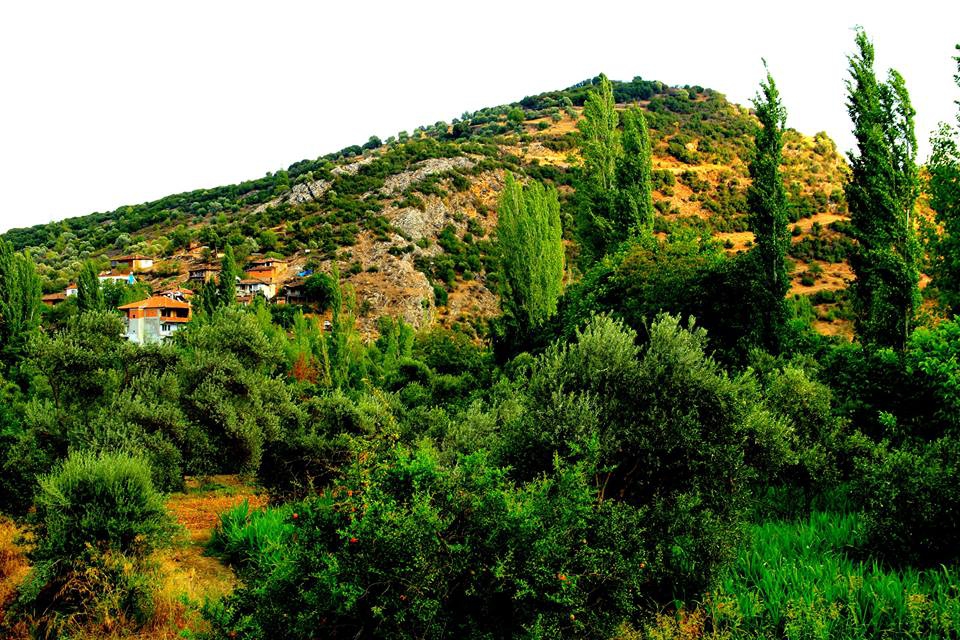 Bozdoğan Akçay Köyü Resimleri 1