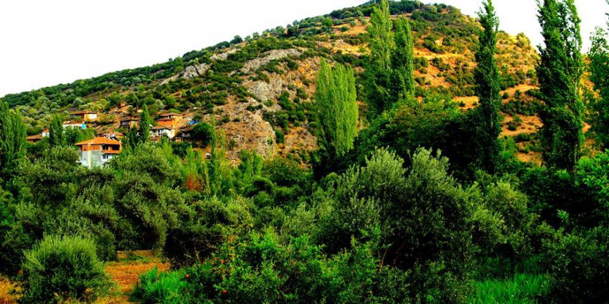 Bozdoğan Akçay Köyü Resimleri