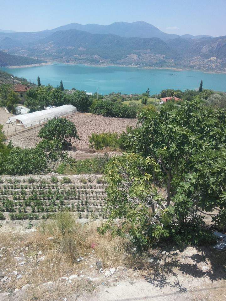 Bozdoğan Akyaka Köyü Resimleri 2