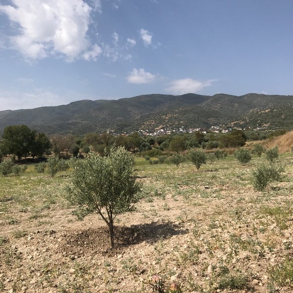 Bozdoğan Alamut Köyü Resimleri 2