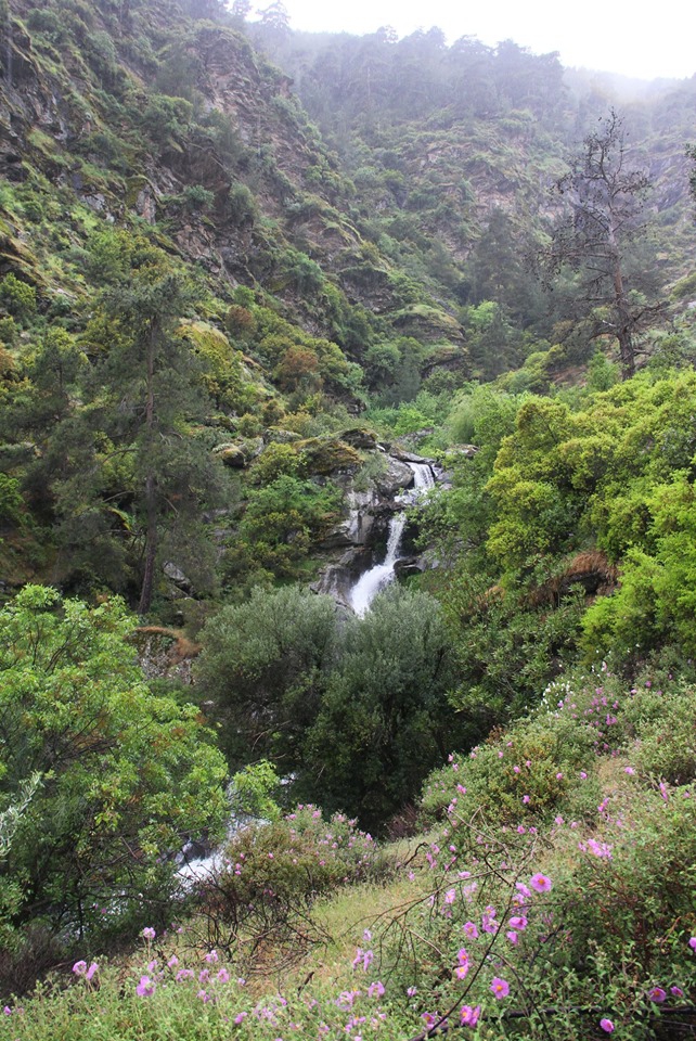 Bozdoğan Alhisar Köyü Resimleri 1