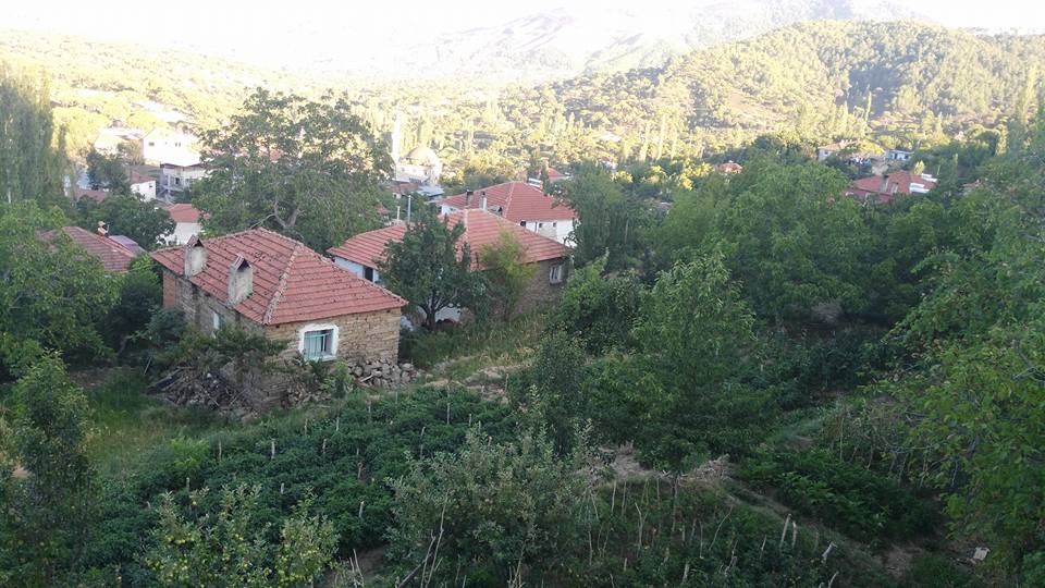 Bozdoğan Altıntaş Köyü Resimleri 3