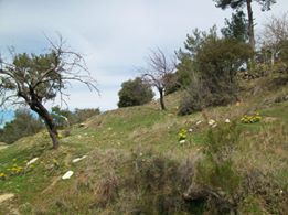 Bozdoğan Asma Köyü Resimleri 2