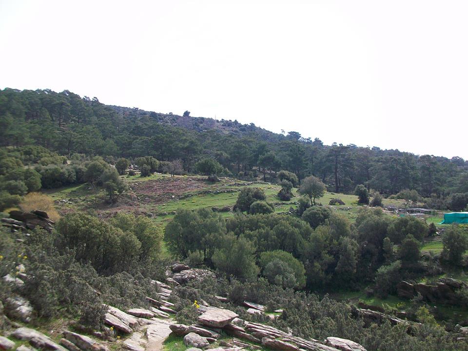 Bozdoğan Asma Köyü Resimleri 4