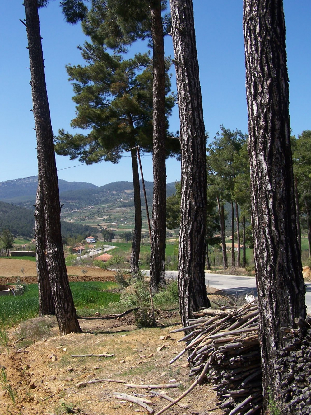 Bozdoğan Cumhuriyet Köyü Resimleri 1