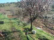 Bozdoğan Cumhuriyet Köyü Resimleri 2