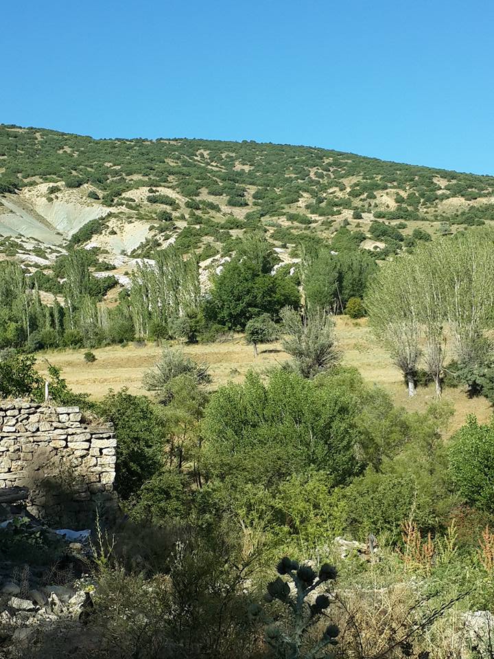Divriği Çakırtarla Köyü Resimleri 7