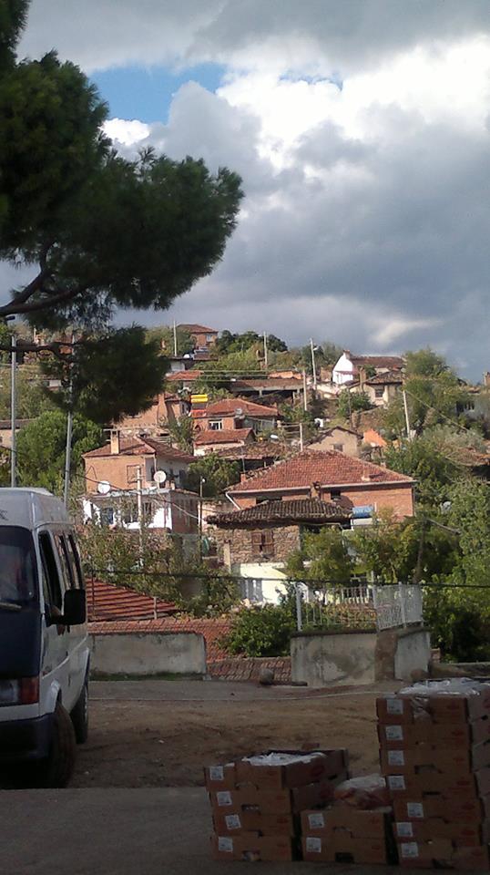 Bozdoğan Kılavuzlar Köyü Resimleri 2