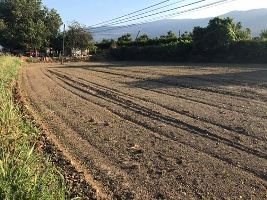 Bozdoğan Kılavuzlar Köyü Resimleri 4