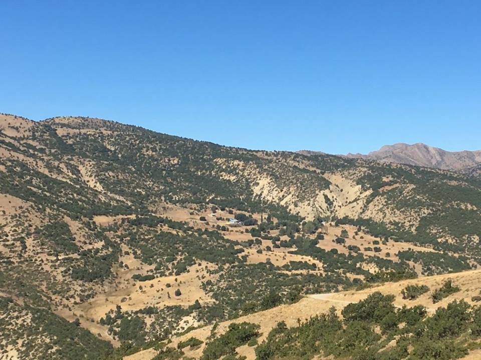 Divriği Çamlık Köyü Resimleri 10