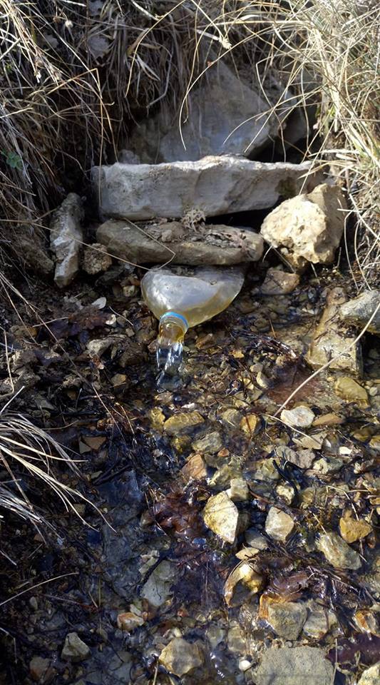 Divriği Çamlık Köyü Resimleri 16