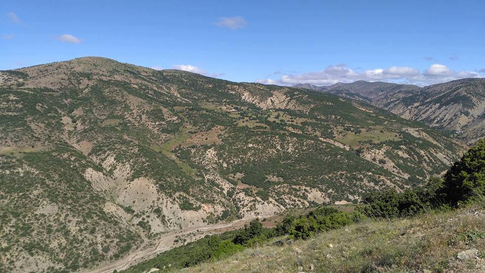 Divriği Çamlık Köyü Resimleri 26