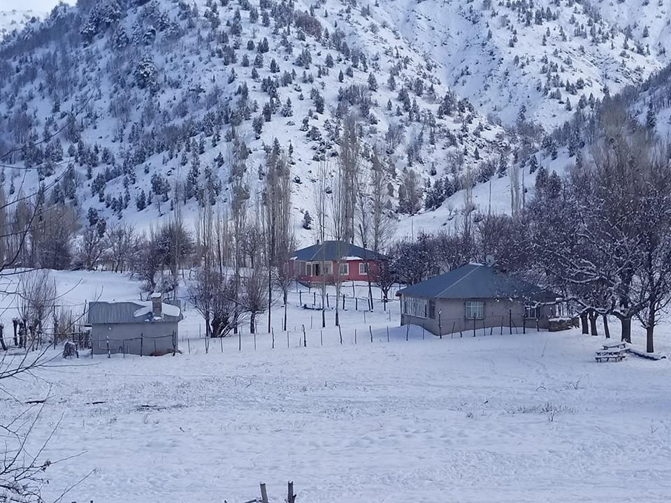 Divriği Çamlık Köyü Resimleri 29