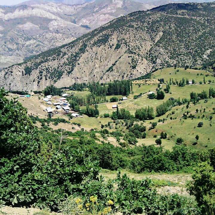 Divriği Çamlık Köyü Resimleri 35