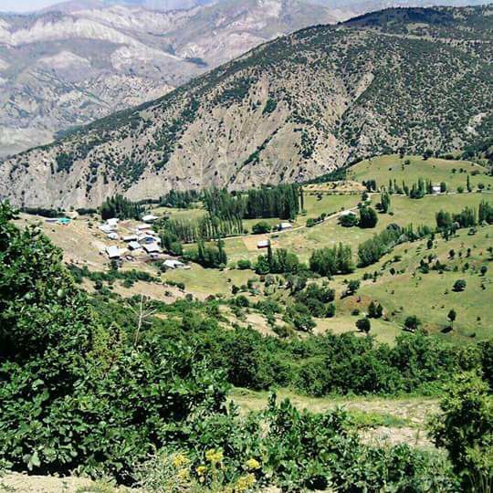 Divriği Çamlık Köyü Resimleri 5