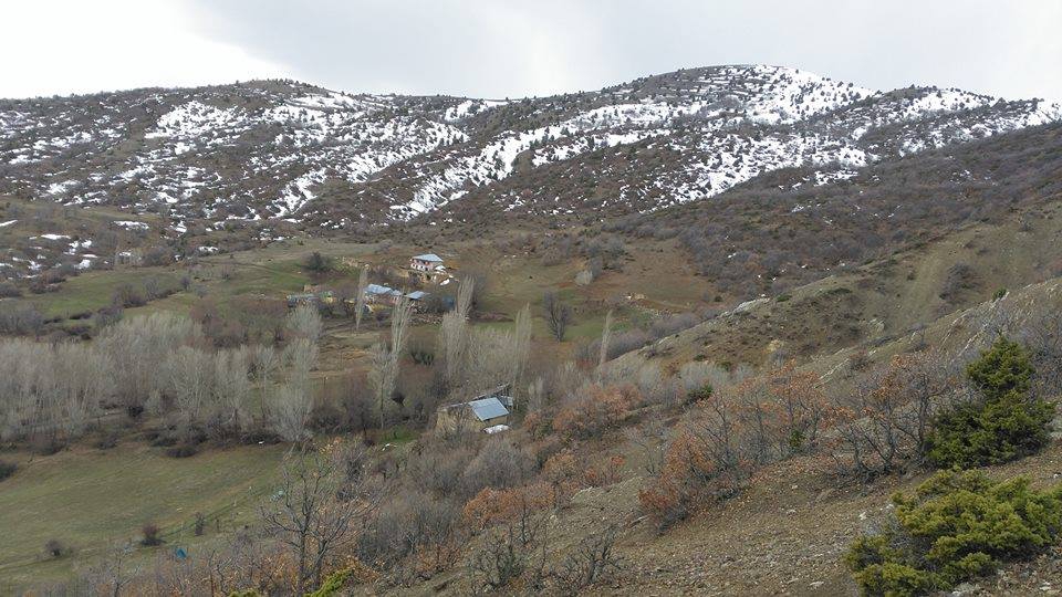 Divriği Çamlık Köyü Resimleri 7