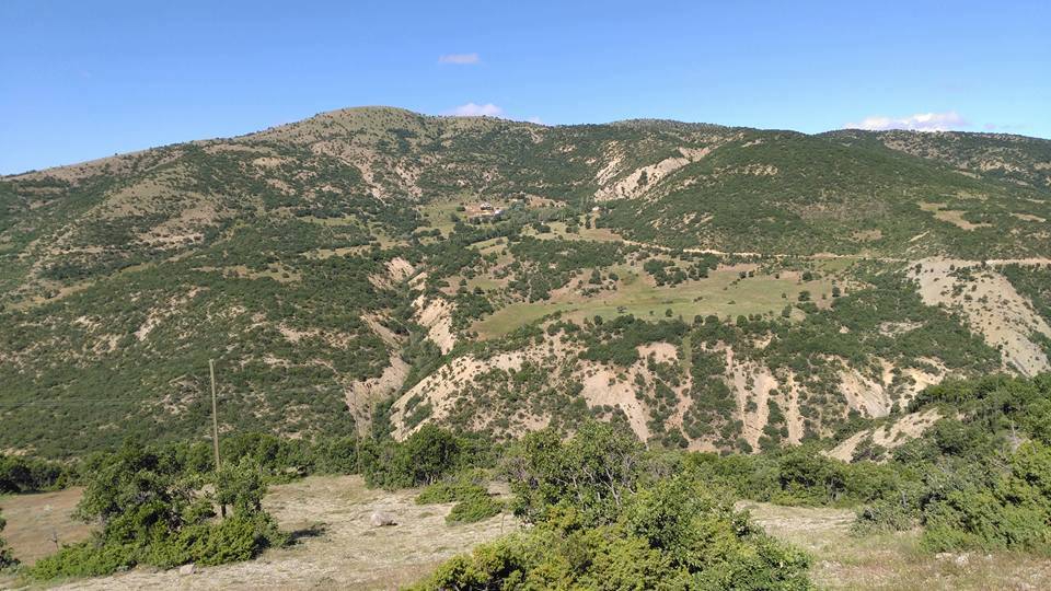Divriği Çamlık Köyü Resimleri 9