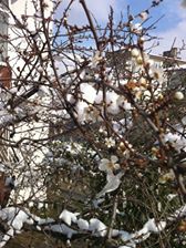 Gölcük Topçular Köyü Resimleri 1