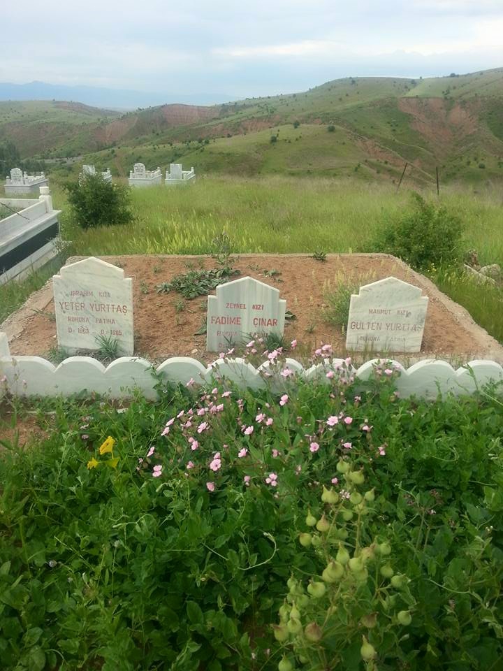Divriği Çamurlu Köyü Resimleri 9